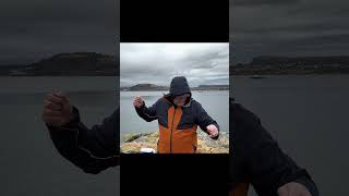 Catching Cod on the Dongle Rig ( Can it be done? )