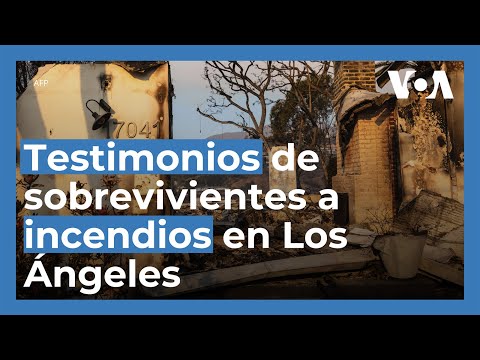 Sobrevivientes de incendios en Los Ángeles regresan a sus casas