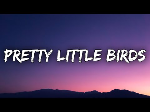 SZA - Pretty Little Birds (Lyrics) ft. Isaiah Rashad