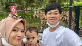 VIDEO PENDEK JALAN JALAN DI LEMBANG PARK & ZOO !!!