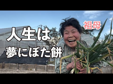 人生は夢にぼた餅〜祖母と孫ちゃんねるの唄/ハンサム判治