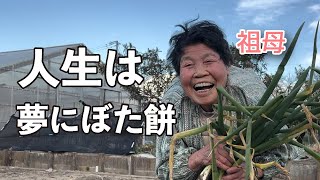 人生は夢にぼた餅〜祖母と孫ちゃんねるの唄/ハンサム判治