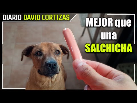 Me inscribo en una carrera + nuevo juguete Lana - David Cortizas Diario - 17/7/25