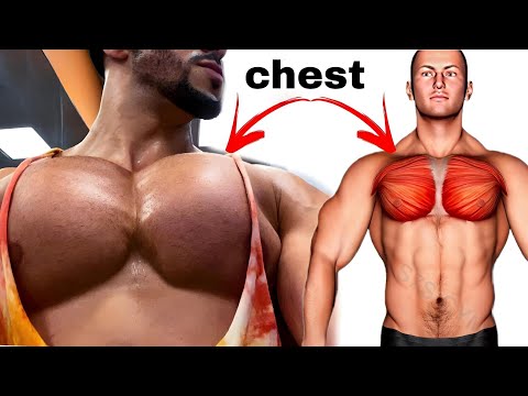 The best chest exercises