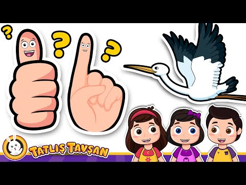 Baş Parmağım Neredesin · Leylek Leylek Havada · O Piti Piti · En Sevilen Tekerlemeler ·Tatlış Tavşan