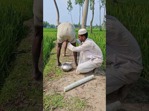 How come the cow doesn't give milk? 9Pat