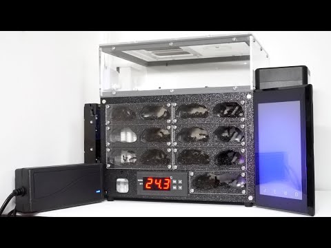 AI搭載のアリの巣に「アリ１０００匹」を入れると…ヤバすぎた