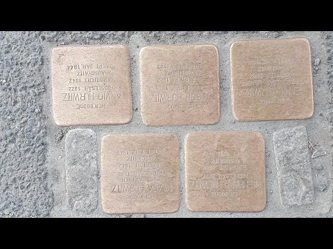 โหระพาชาแนลกำลังถ่ โหระพา ชาแนล โหระพาชาแนลกำลังถ่