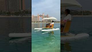 Luxury Electric Catamaran! 😍