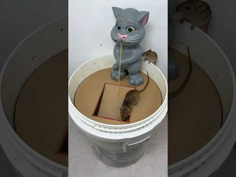 The world's most perfect homemade Mouse trap idea/best Mouse trap tips at home #mousetrap