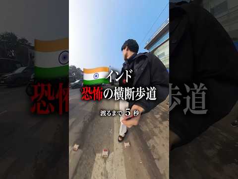 【最後まで見て】インドの横断歩道#海外 #海外ひとり旅 #インド #横断歩道#shorts