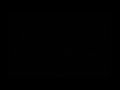 Video Tutorial Quiz