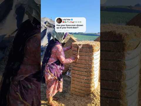 Has your boss ever done that? #shorts