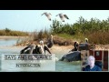 Coastal Ecosystems and Their Importance