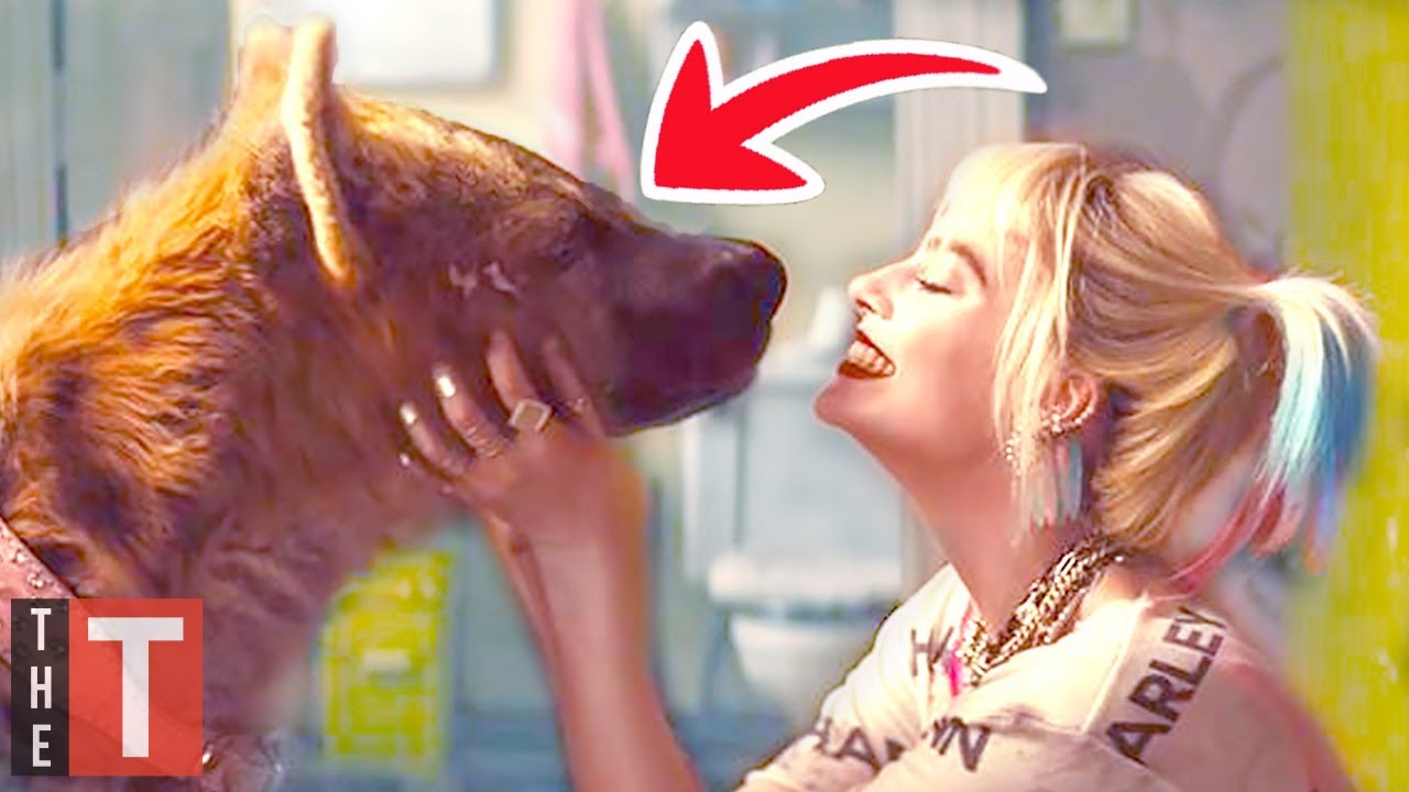 Every DCEU Reference In Harley Quinn: Birds of Prey