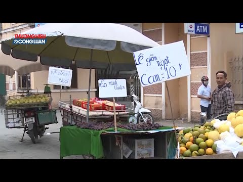 Hà Nội: Trái cây giá rẻ bán tràn lan trên phố