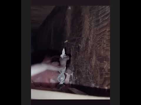 Wire fishing with a versa bit, See the secret function it has, And the skills of the electrician!