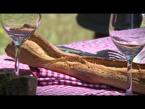 Série œnotourisme (2/4) : un pique-nique dans les vignes