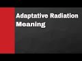 Adaptive Radiation and Species Evolution