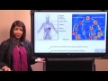 Immune and Integumentary Systems Interaction