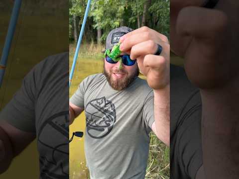 Can I catch a ANIMAL on a fishing lure?