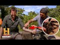 Painful Encounters with Nature's Creatures