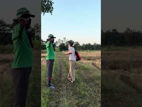 ใครตี555 #คลิปตลก #คลิปขำๆ #คลิปคลายเครียด #คลิปฮาๆ #joke #comedy #funny