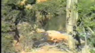 Taghroute de Boulemane en1997  by simostar