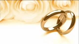 Vídeo adicional 3 do item Alianças Casamento Linha Classic Ouro 3mm Redonda Polida
