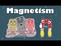 Exploring the Basics of Magnetism