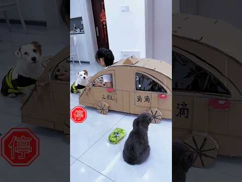 Luxury car 🚗 🚗 I New Viral Gadgets, Appliances, kitchen utensils/ Home Investions🏠🏡#shorts