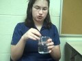 Diffusion of Glucose and Starch