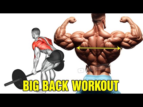 6 Most Effective Exercises for Bigger 3D Back