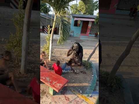 π€£ππππ #funny #viralvideo #comedy