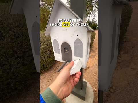 How long would it take YOU to solve this 3.0 Difficulty gadget cache?!