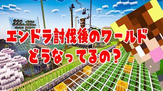 前回の視聴者参加型エンドラ討伐後のワールドがすごいことに...！