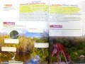 Freshwater Ecosystems and Food Webs