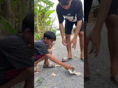 Anh Thông Minh Quá Nhanh Tay Nên Trộm Long Tráo Phụng Thằng Nhóc Còn Khen Anh Tốt #shorts