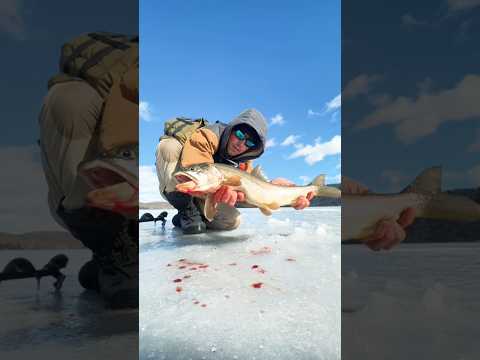 Ice Fishing Gone… #WatchThis