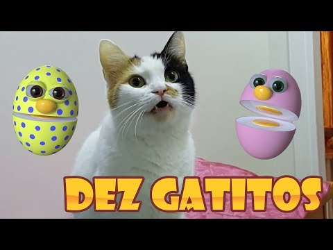 Dez Gatitos música infantil homenagem clone - Amigovos - desenho animado gatinhos😽😸