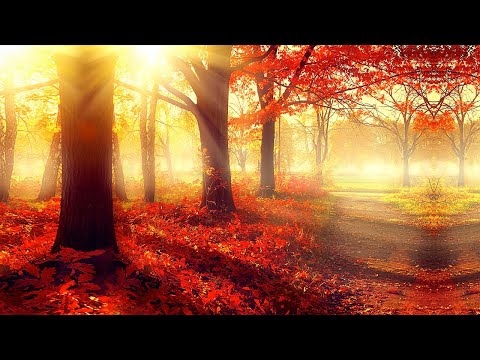 Beautiful Relaxing Music For Stress Relief - Relaxing Music For Spiritual Healing & Meditation