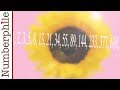 Fibonacci Numbers in Nature