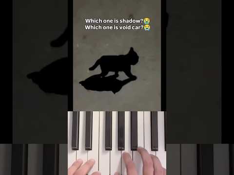 A kittyo in the void 🥹 #piano #shorts #memes #funny