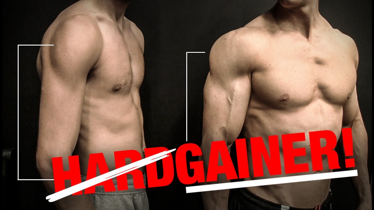 Shoulder Workout Tips for Size (HARDGAINER EDITION)