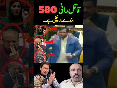 PmlN MNA Vs Maryam Nawaz