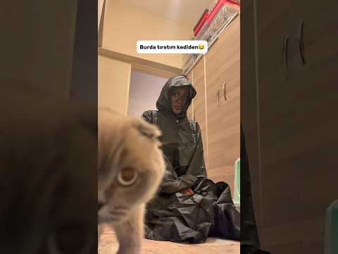 Böyle tezkere aldırırlar işte 😂 #baybayanbaykal #funny #komedi #keşfet #comedy