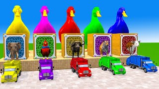 Long Slide Game With Elephant Gorilla Buffalo Hippopotamus Tiger - 3d Animal Game - Funny 3d Animals