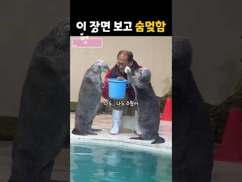 이 장면 보고 숨멎함 #더빙농장 #dubbingfarm #동물더빙