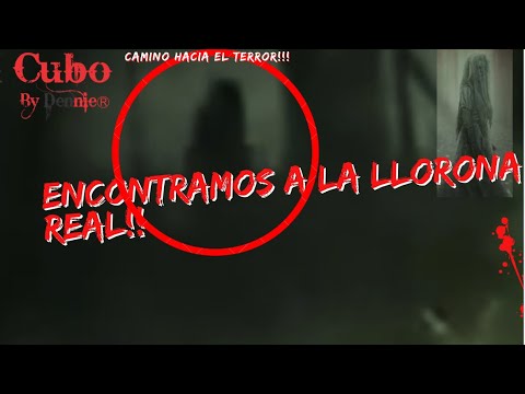 Esto esconde el bosque del camino hacia el terror (historial real )