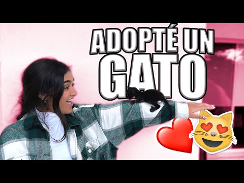 ADOPTANDO UN GATITO PORFIN!!! XIME PONCH